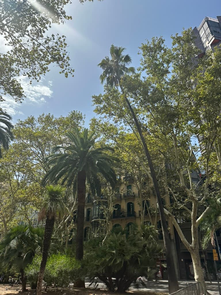 Barcelona: Katalanische Lebensfreude
