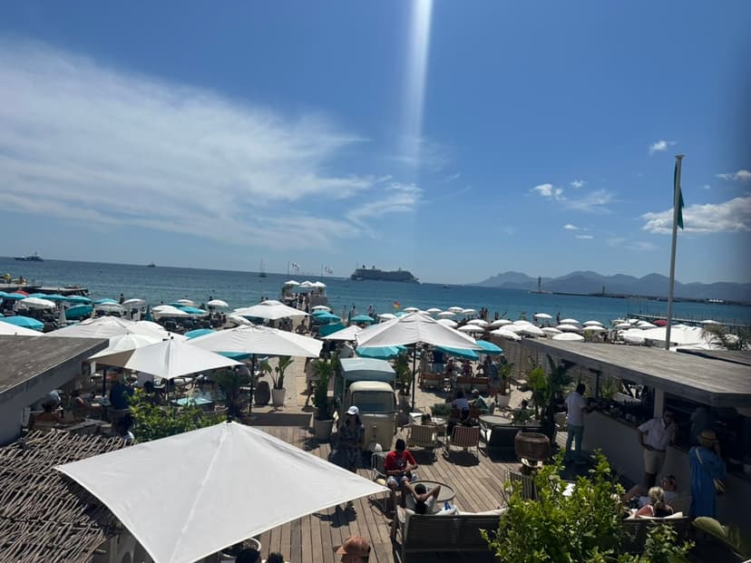 Die berühmte Promenade de la Croisette mit ihren Palmen und Hotels