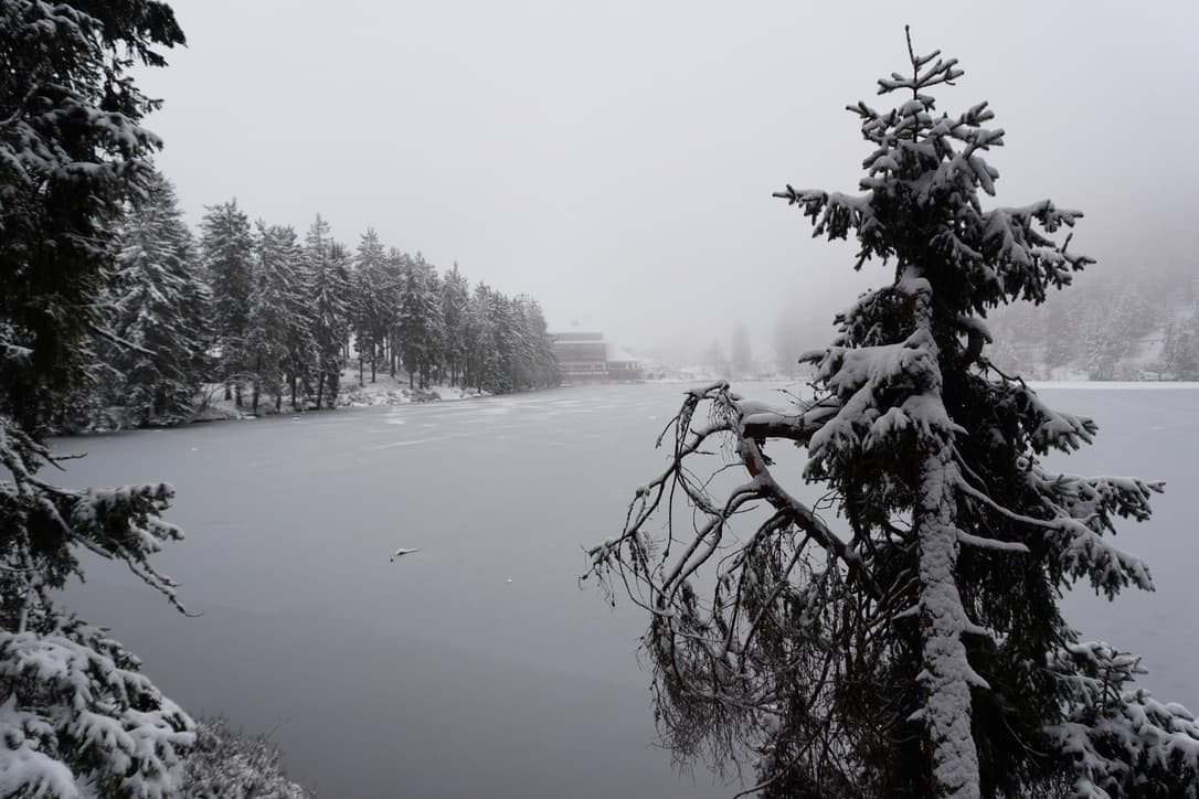 Mummelsee: Mystischer See im Schwarzwald