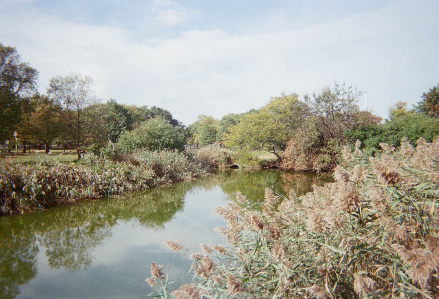 From Creek to Fountain