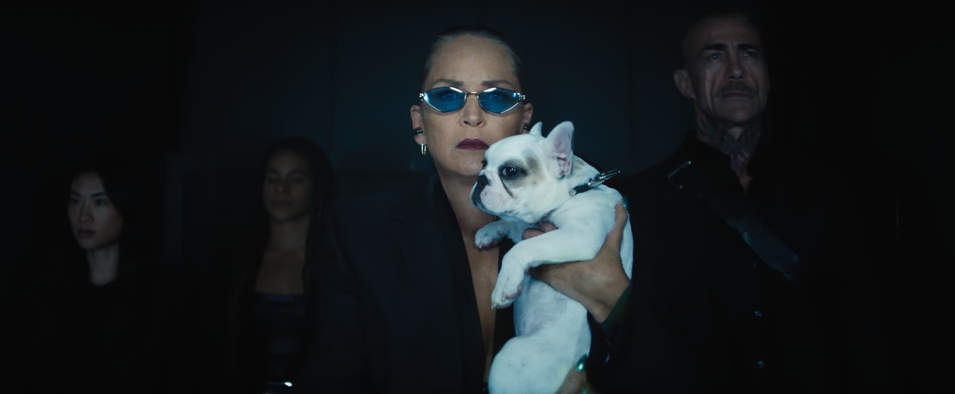 Nobody 2 Director Never Thought They'd Get Sharon Stone As The Villain
