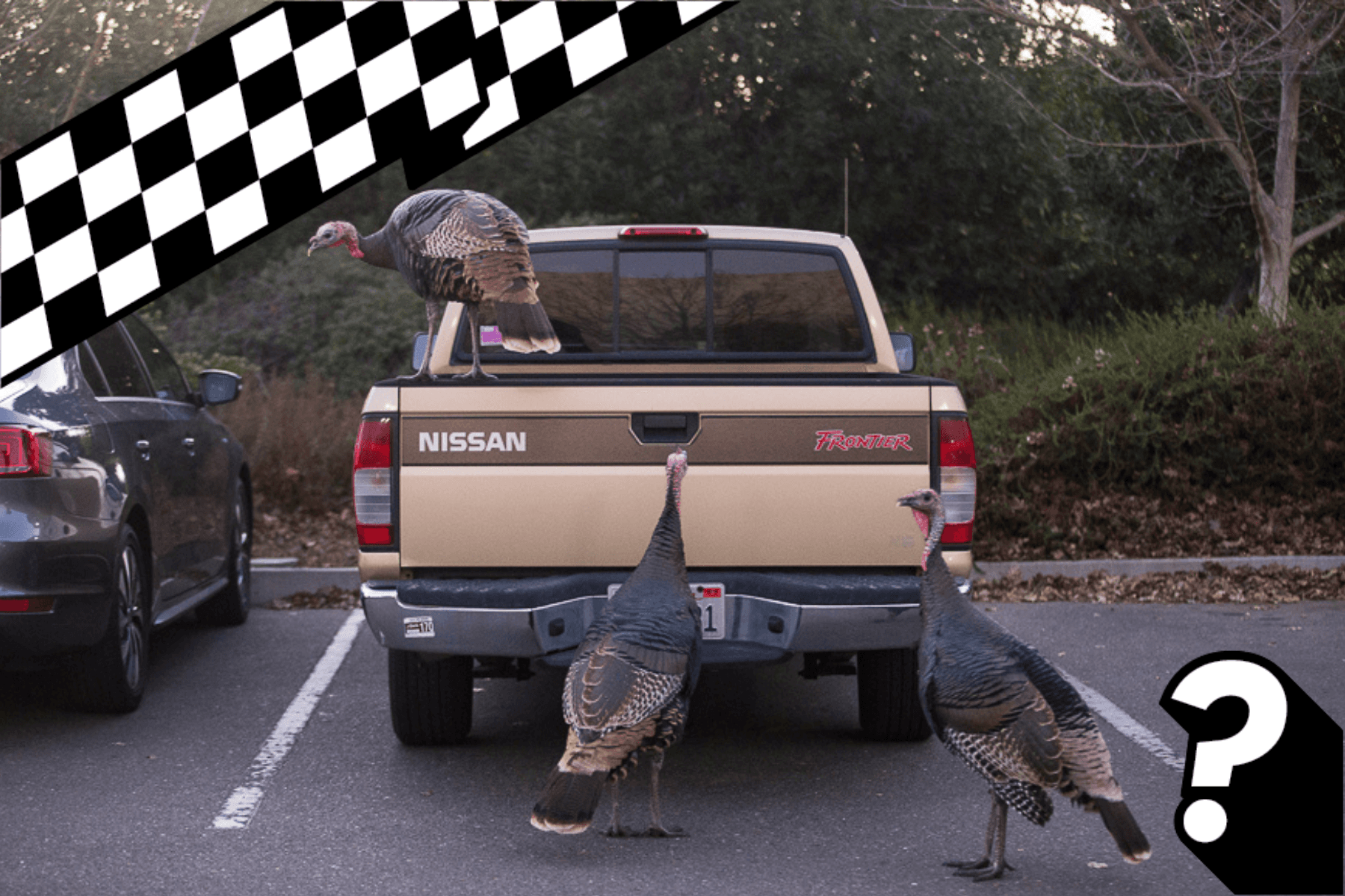 Question of the Week, Turkey Day Edition: What Vehicle Should Have Worn a Turkey as a Badge?—WINNER’S UPDATE