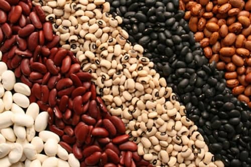 Nigeria loses N544bn yearly to beans export ban, say stakeholders
