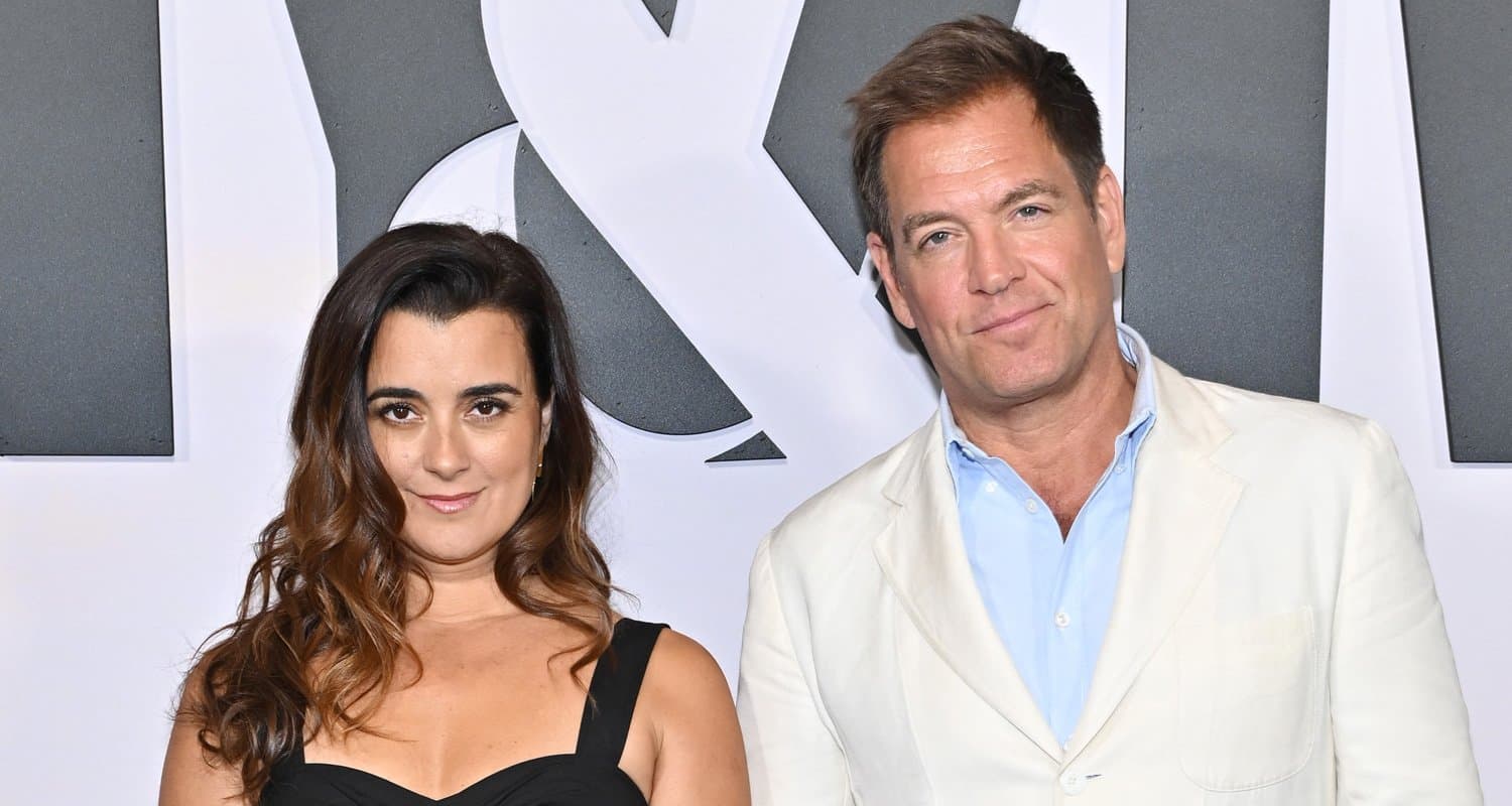Michael Weatherly & Cote de Pablo Talk 'NCIS: Tony & Ziva' Splitting Up Their Characters
