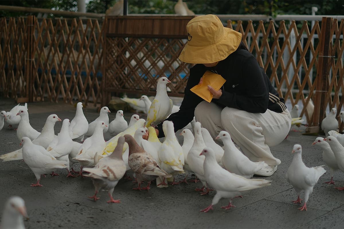 The Next Pandemic? Bird Flu 'H5' Seen As Bigger Threat Than Covid-19