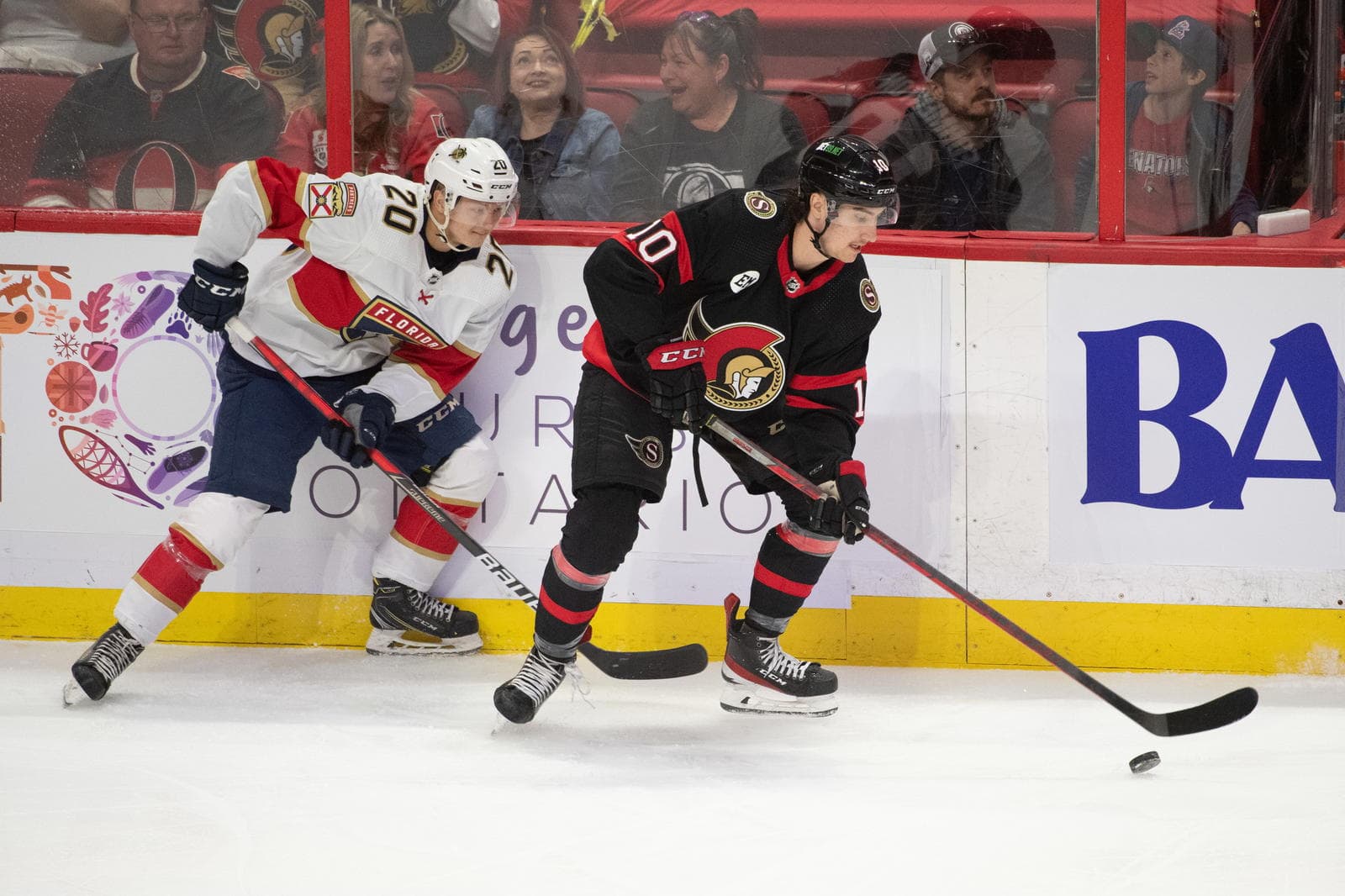 Report: Alex Formenton's NHL Eligibility To Be Restored On December 1st