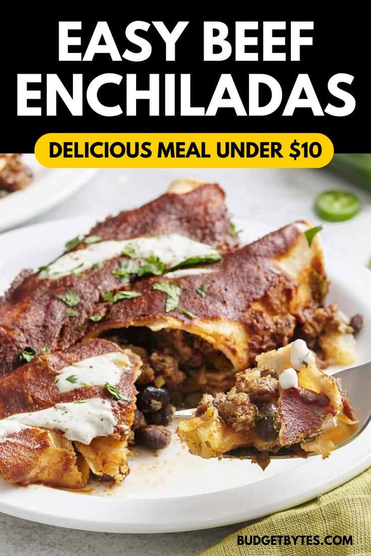 Need an easy comfort food? Try this Budget Bytes recipe for the best beef enchiladas ever! Stuffed full of ground beef, black beans, pineapple, jalapeños, and corn tortillas, this homemade oven dish is a delicious meal under $10, topped with a flavorful homemade enchilada sauce. This is a simple dinner recipe and a hearty beef dish with a gluten free option! Make this today!
