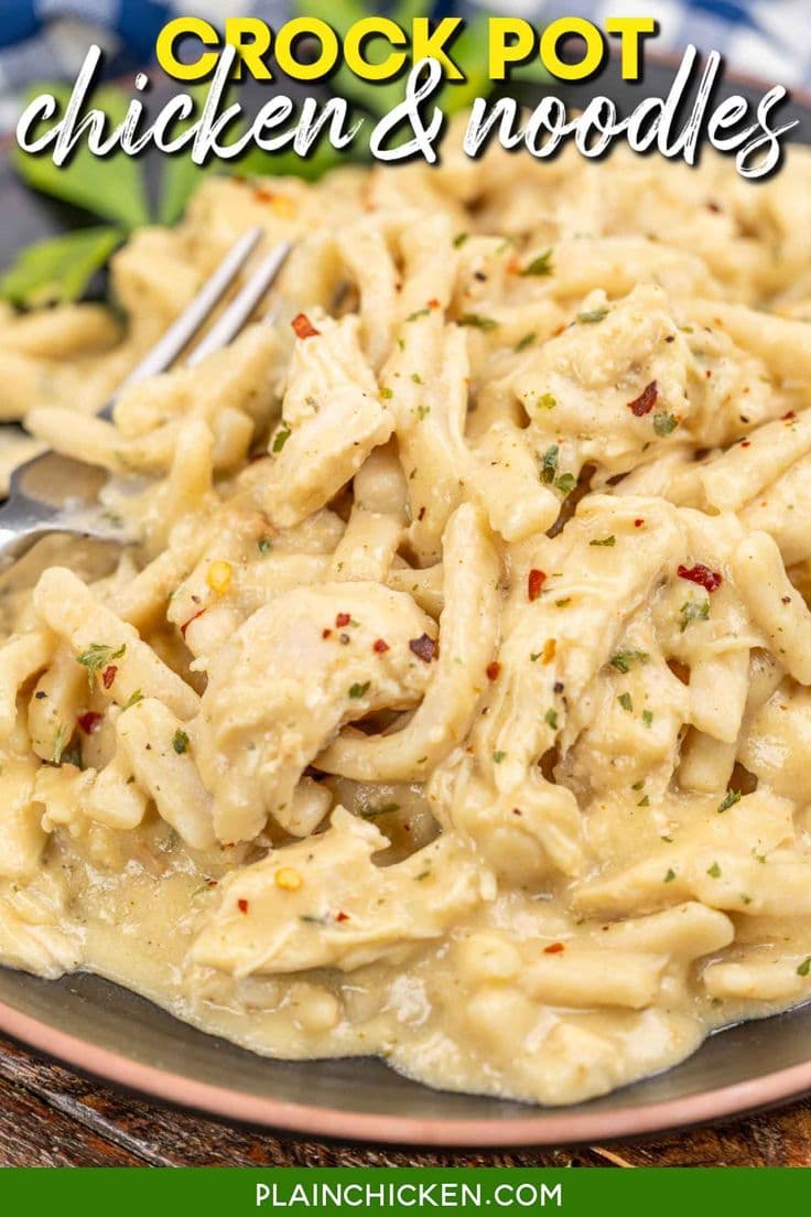 Crock Pot Chicken and Noodles Recipe - the ultimate comfort food made easy in the slow cooker! Tender chicken, creamy broth, and hearty egg noodles come together in a cozy, satisfying dish the whole family will love. Perfect for busy weeknights or chilly days!