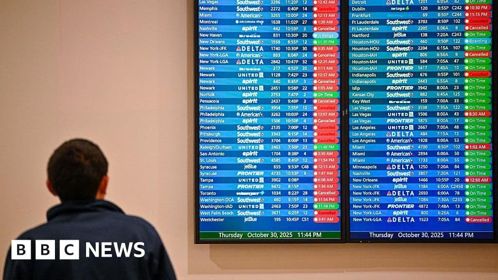 Staff shortages from government shutdown cause delays at US airports