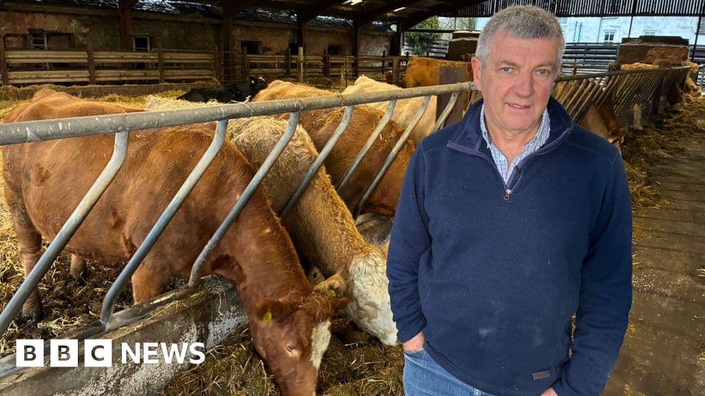 Scottish farmers 'at last' make returns as beef prices soar