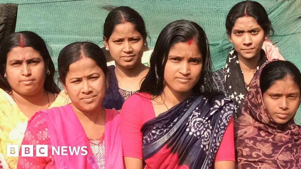 'Can't afford lost wages': India's voter roll revision is worrying migrant workers