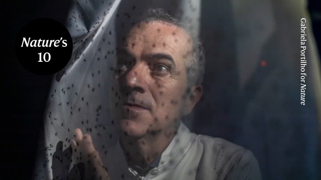 This scientist is breeding billions of mosquitoes to fight disease in Brazil