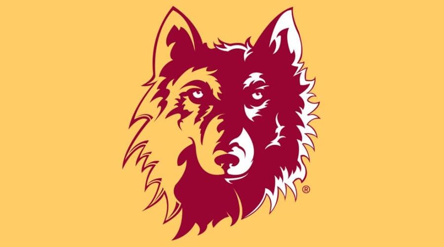 Wolves men drop 1-point affair at Chadron State