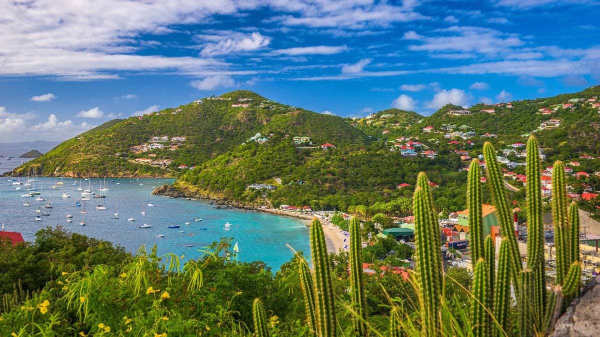 Airline cancels all flights and travelers stranded, no bankruptcy