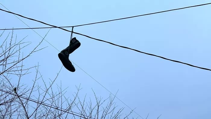 Slog AM: Pete Hegseth Kills Them All, Starbucks Pays $38.9 Million Labor Settlement, AI Will Deny Washington Medicaid Claims Next Year