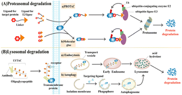 Recent progress in targeted membrane protein degradation technology based on aptamers for disease treatment