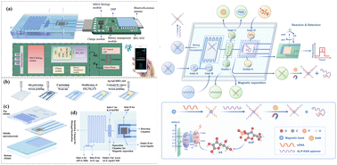 Magnetic–enzymatic synergy driven photoelectrochemical aptasensor on a microfluidic chip for sub-pM kanamycin detection