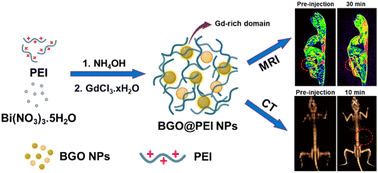 Facile synthesis of polyethylenimine coated Bi2O3/Gd2O3 composite nanoparticles as multimodal MRI/CT contrast agents