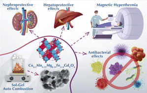 Gd3+ engineered Co–Mn–Mg spinel nanoferrites for multifunctional theranostics: magnetic hyperthermia, antioxidant hepatoprotection, and antibacterial activity
