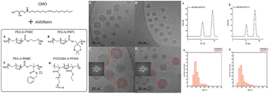 Novel amphiphilic copolymers as stabilizers for glyceryl monooleate-based lipid–polymer hybrid nanoparticles