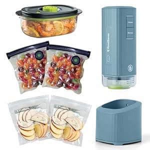 FoodSaver Mini Handheld Vacuum Sealer Machine – $39 (reg. $60)