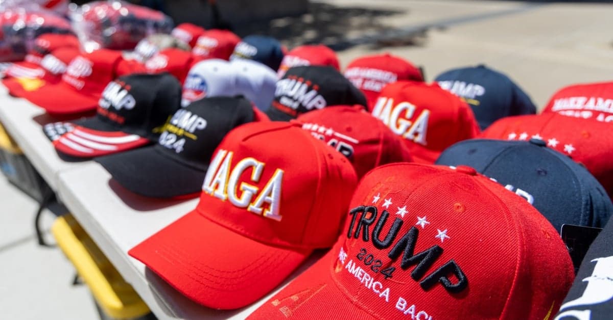 MAGA cognoscenti warn feds away from shielding AI infringers