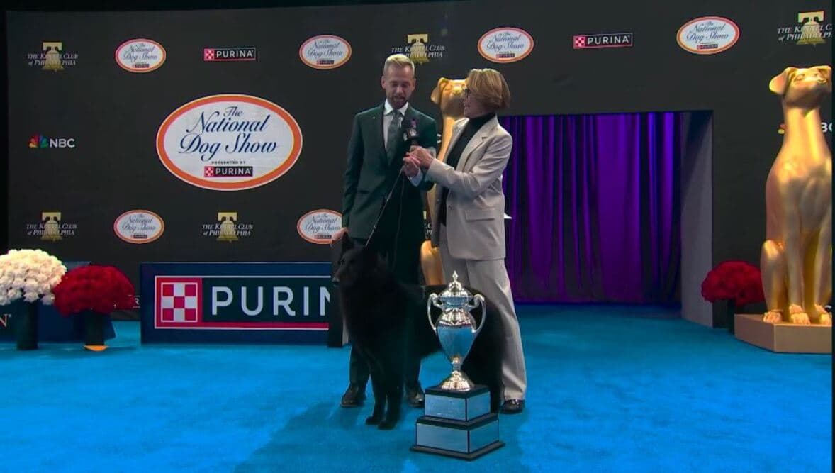 How Soleil beat 1,994 dogs at National Dog Show today