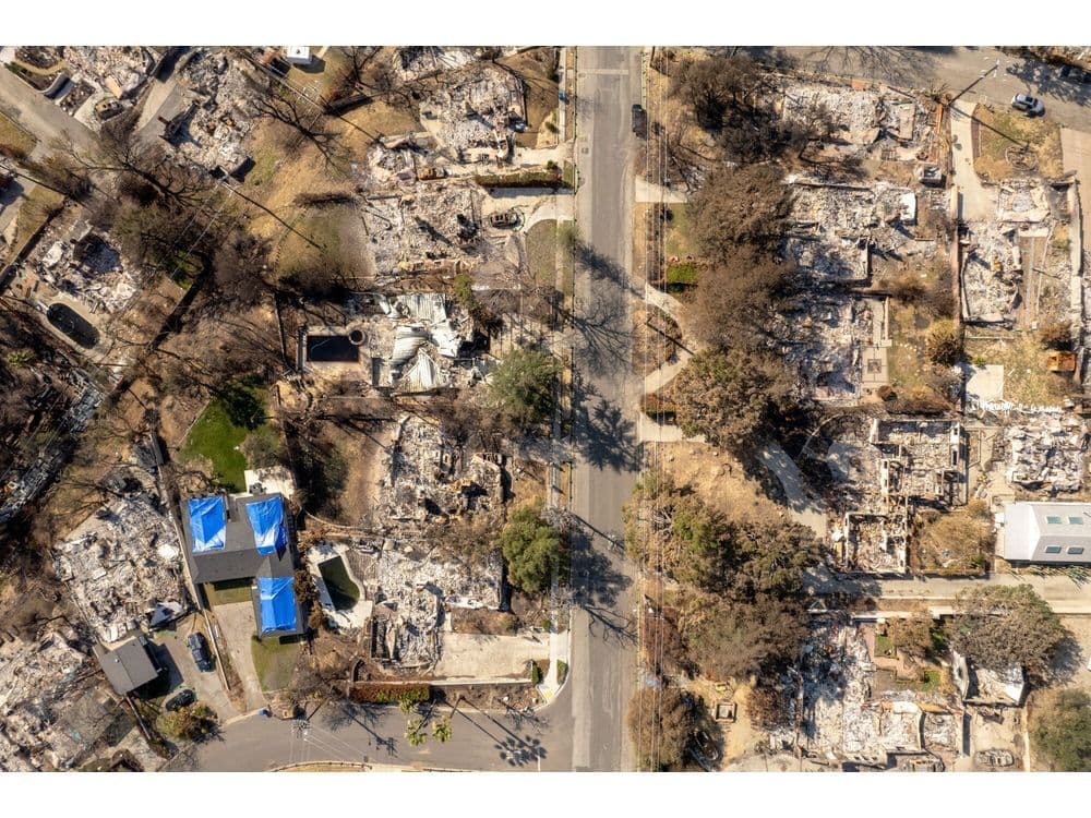 Massive Wildfire Liabilities Push Utilities to Use AI to Stop Blazes