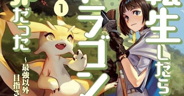 Reincarnated as a Dragon Hatchling Light Novels to End in Volume 17