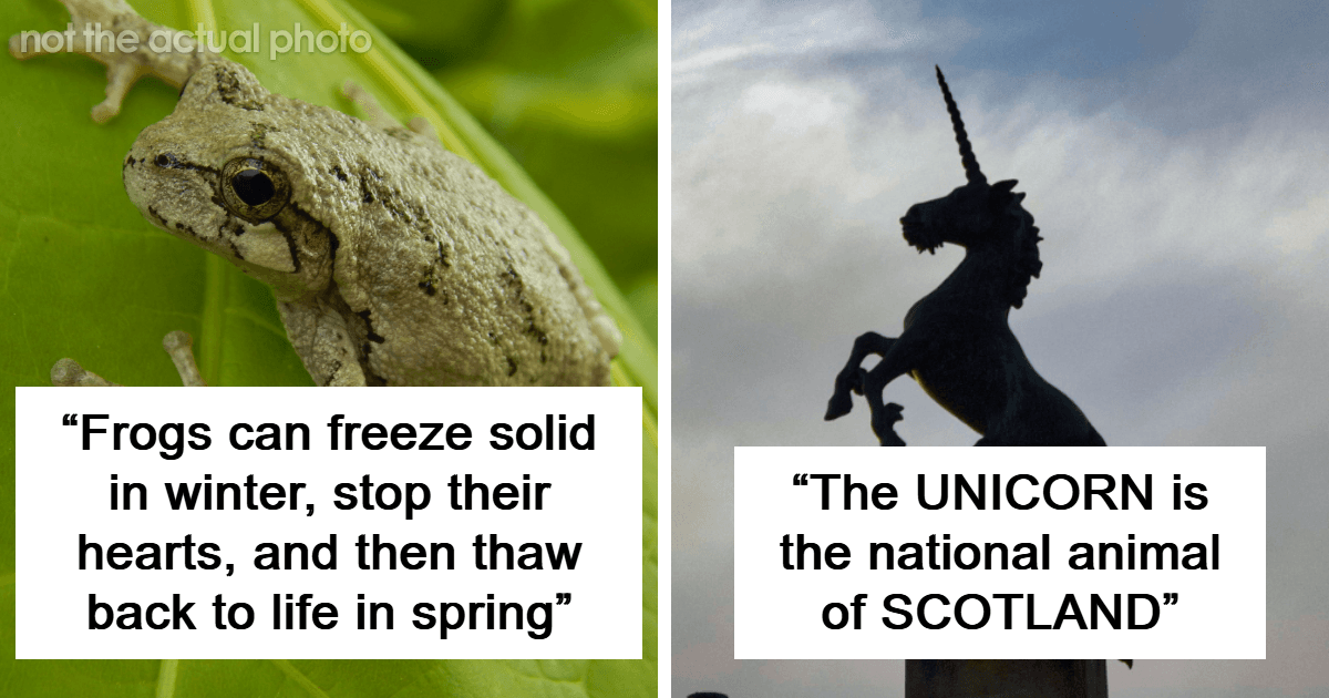 80 Truly Random Facts That Are Still Better Than The News