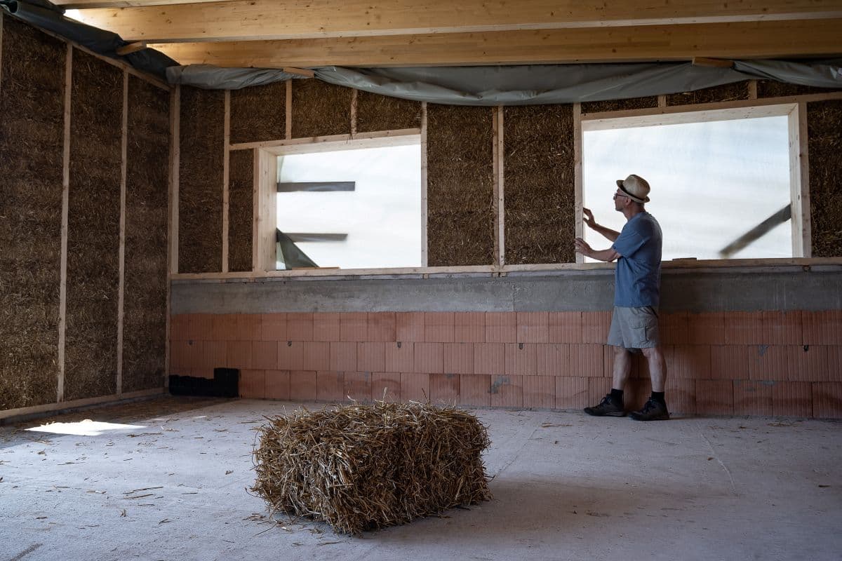 Straw houses and no-cow cheddar: Brussels eyes a bio-based future