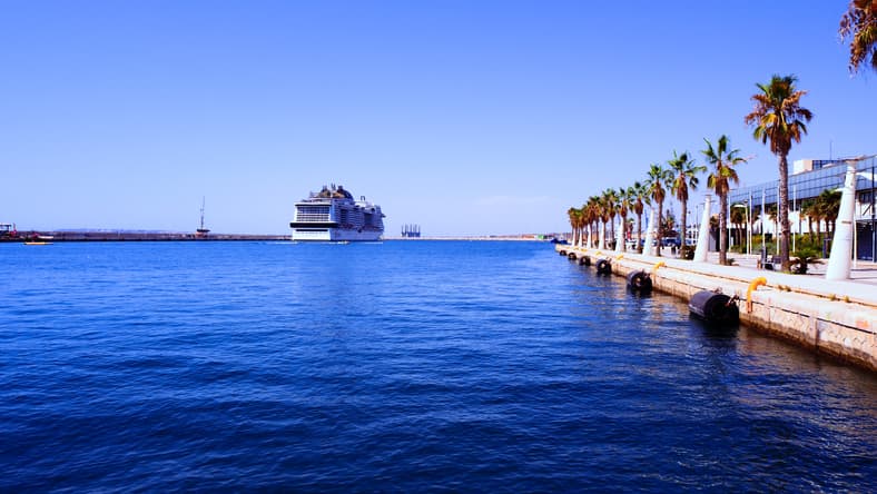 Sustainable maritime fuels must be accessible, says cruise ship CEO