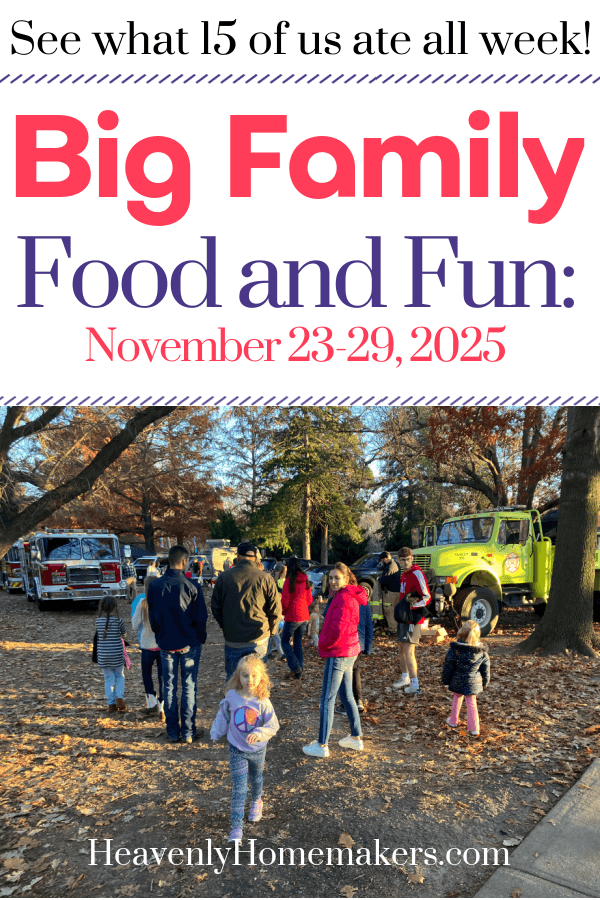 Big Family Food and Fun: November 23-29, 2025