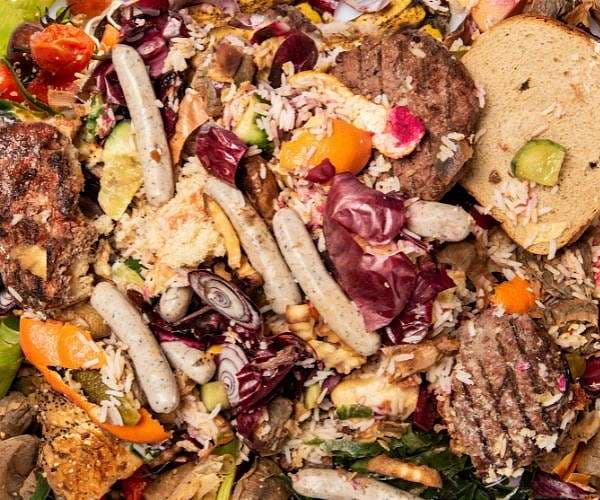 Bio-hybrid robots turn food waste into functional machines