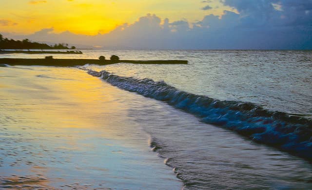 American: Seattle – Montego Bay, Jamaica. $379 (Basic Economy) / $421 (Regular Economy). Roundtrip, including all Taxes