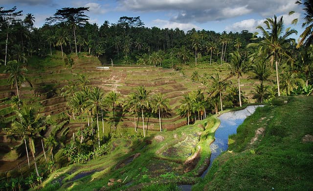 Korean Air: Chicago – Bali, Indonesia. $863. Roundtrip, including all Taxes