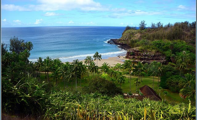 Delta: Phoenix – Kauai, Hawaii (and vice versa). $283 (Basic Economy) / $383 (Regular Economy). Roundtrip, including all Taxes