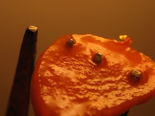 Comment on This Butternut Squash Soup Will Kick You In Your Butternuts by Max