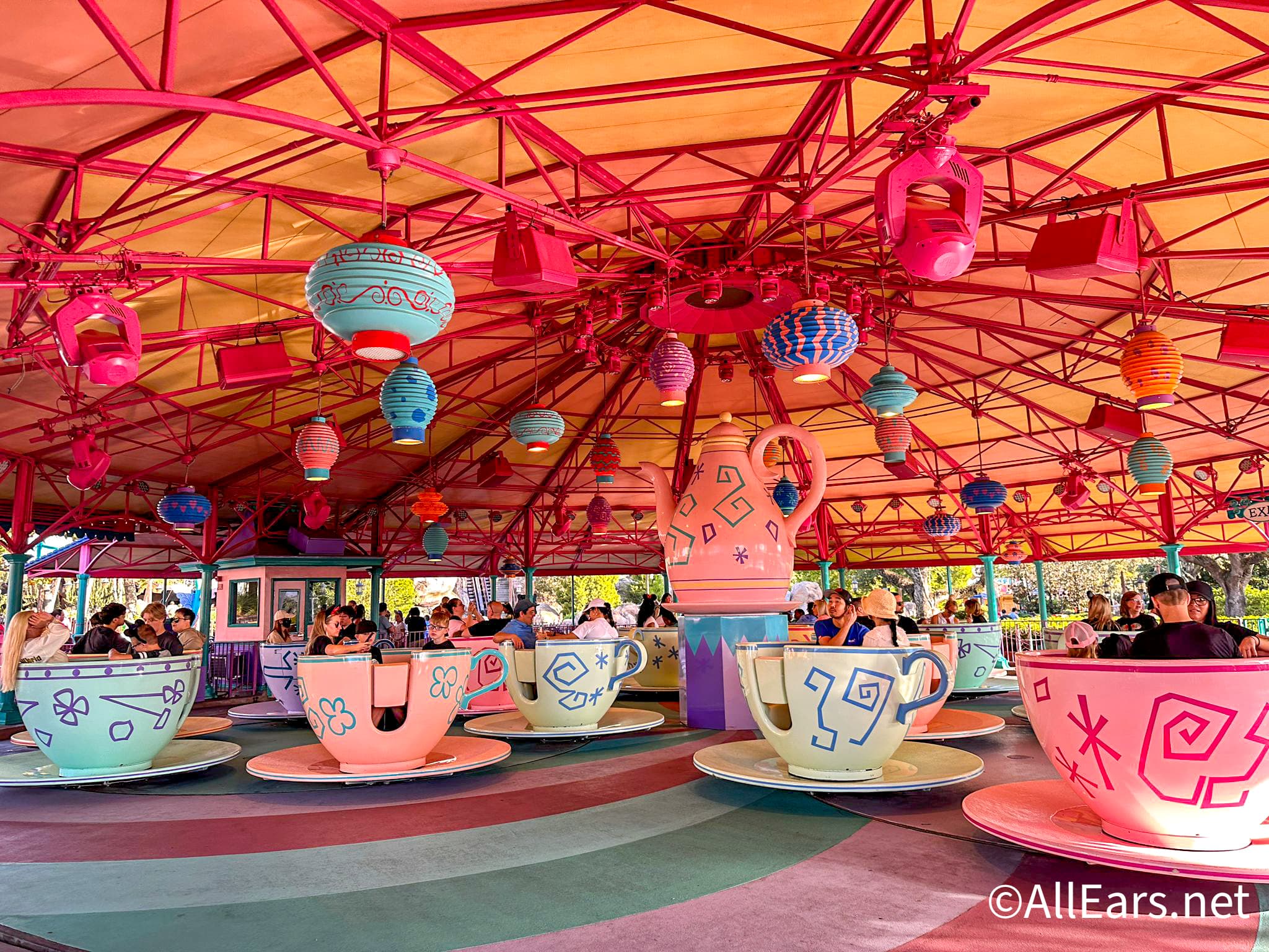 “I Just Think It’s So Much Fun to be Jostled Around” Fans Have Some Wild Takes About Disney World