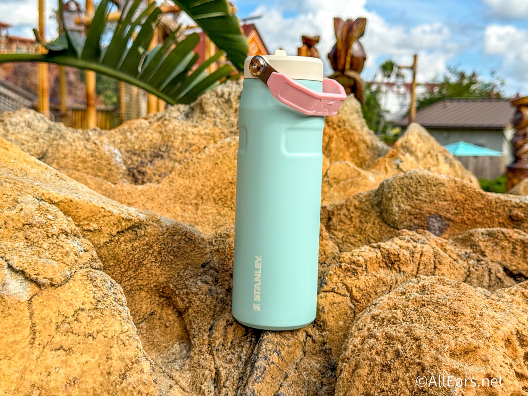 The New Amazon Water Bottle Every Disney Adult Is Taking to EPCOT’s Festival of the Holidays