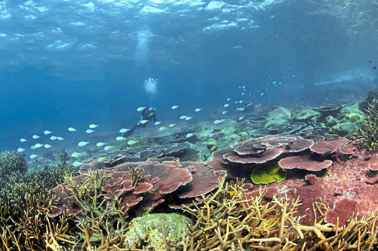 Visitors to marine parks required to take own rubbish back to land