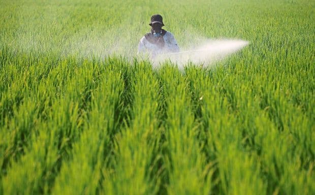 Not easy to act against landowners who rent out padi fields to foreigners, Dewan Rakyat told