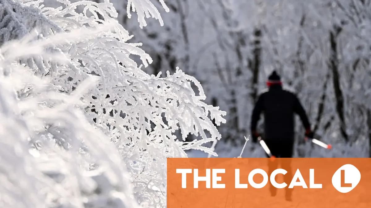 November Arctic blast blankets Germany in snow