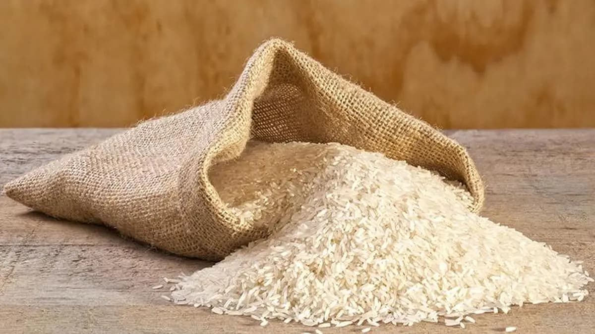 Rice exporters brace for trade shifts as India tightens food security rules