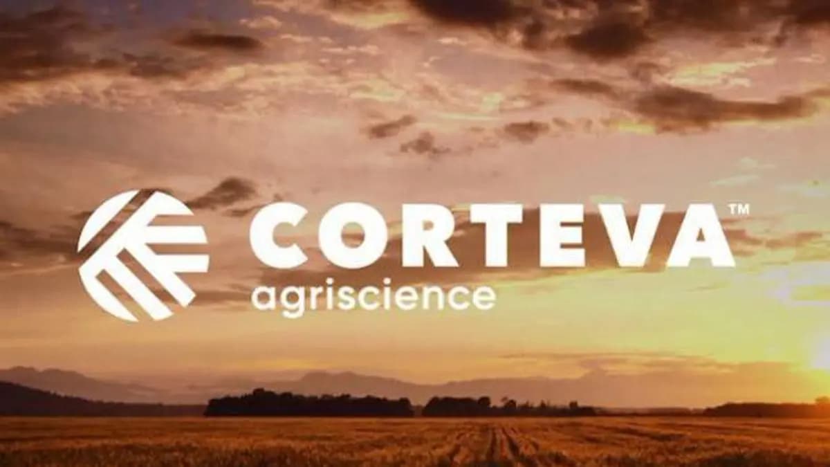 Corteva investing in hybrid wheat for India, commercial seeds expected in 10-15 years