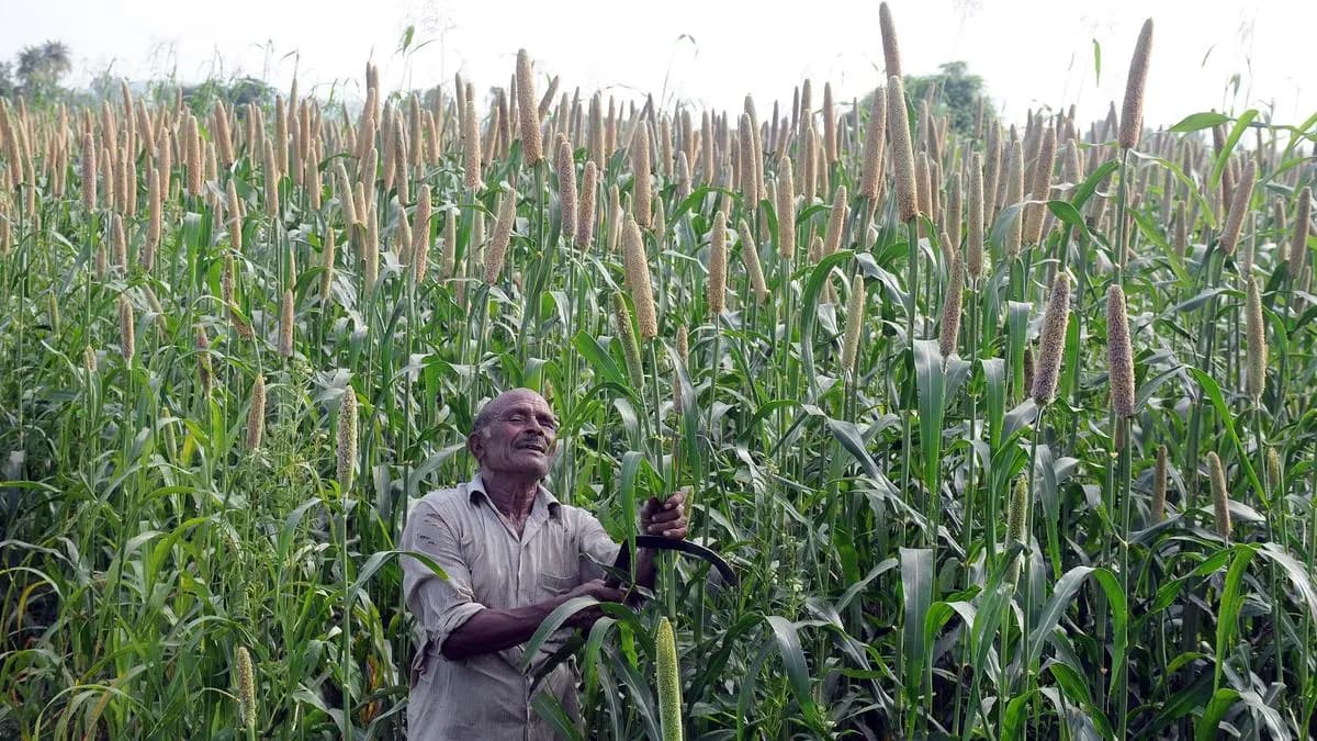 Pick of BL commodities - November 16, 2025