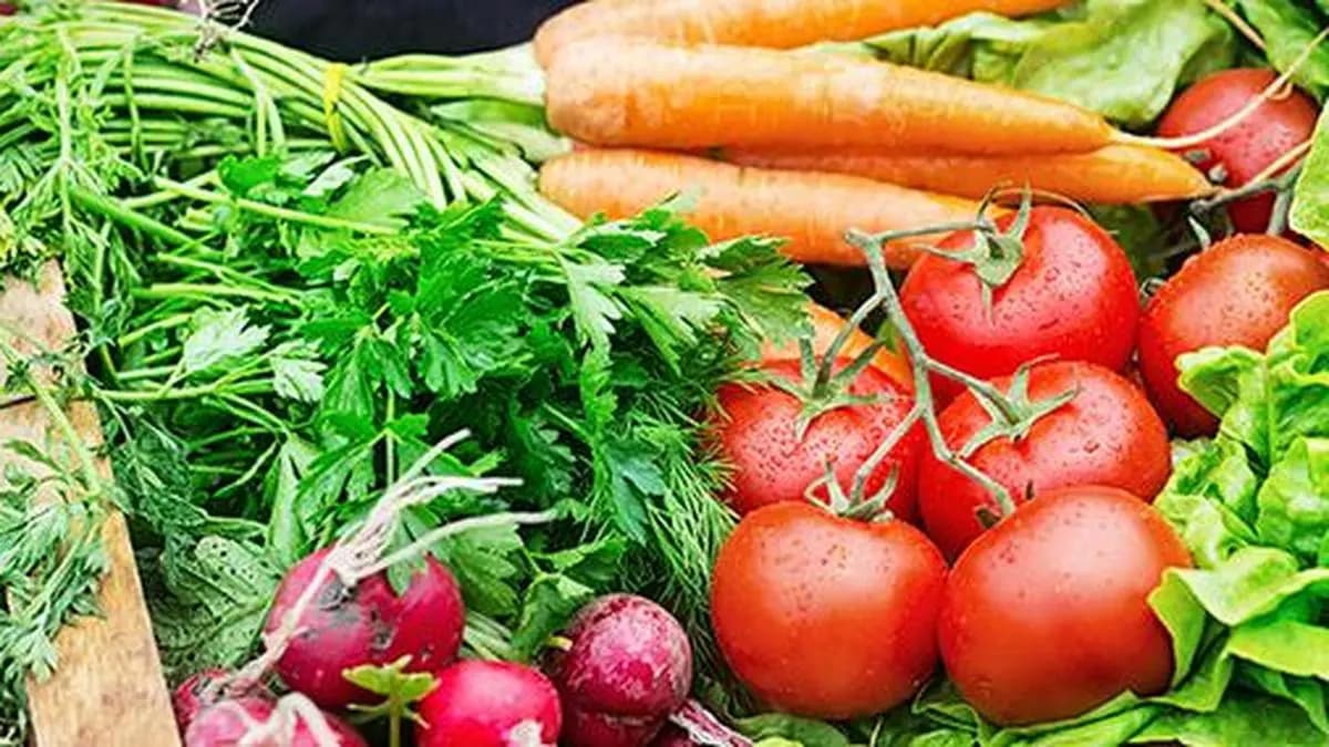 In a ‘SIR’ moment, Apeda makes 100% verification of Indian organic farmers a must