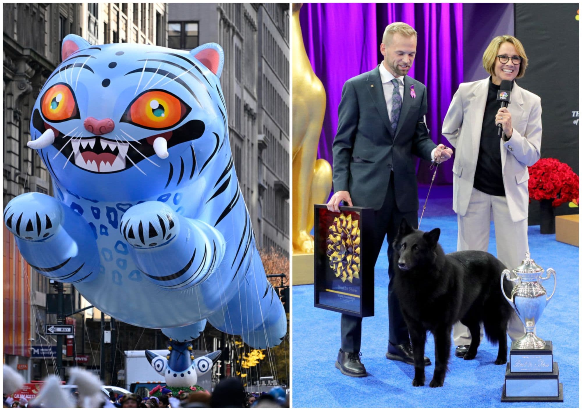 Macy's Thanksgiving Day Parade Pulls 34.3M Viewers; Dog Show: 12.8M