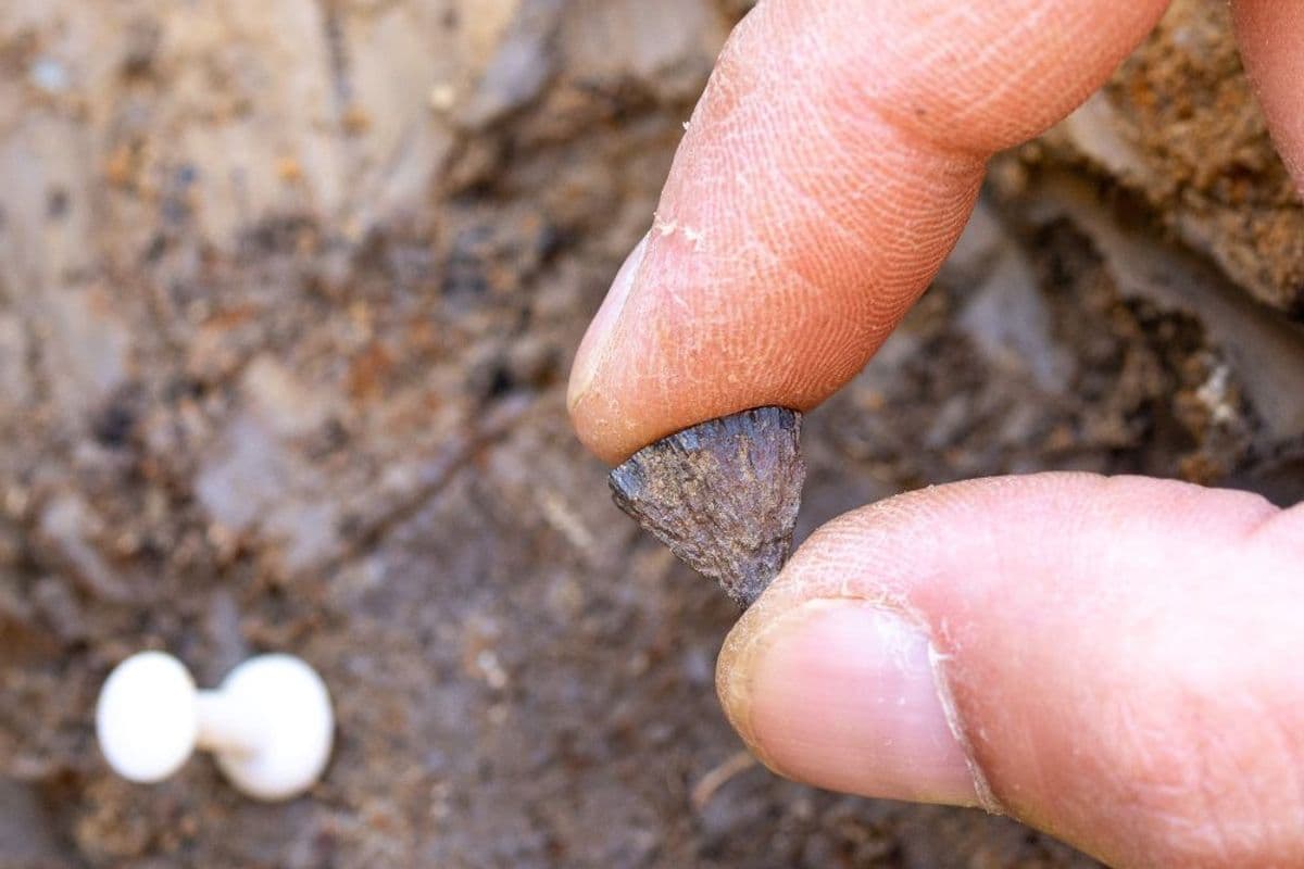 Over 400,000-Year-Old Evidence of Fire-Making Unearthed — Thousands of Years Earlier Than Once Thought
