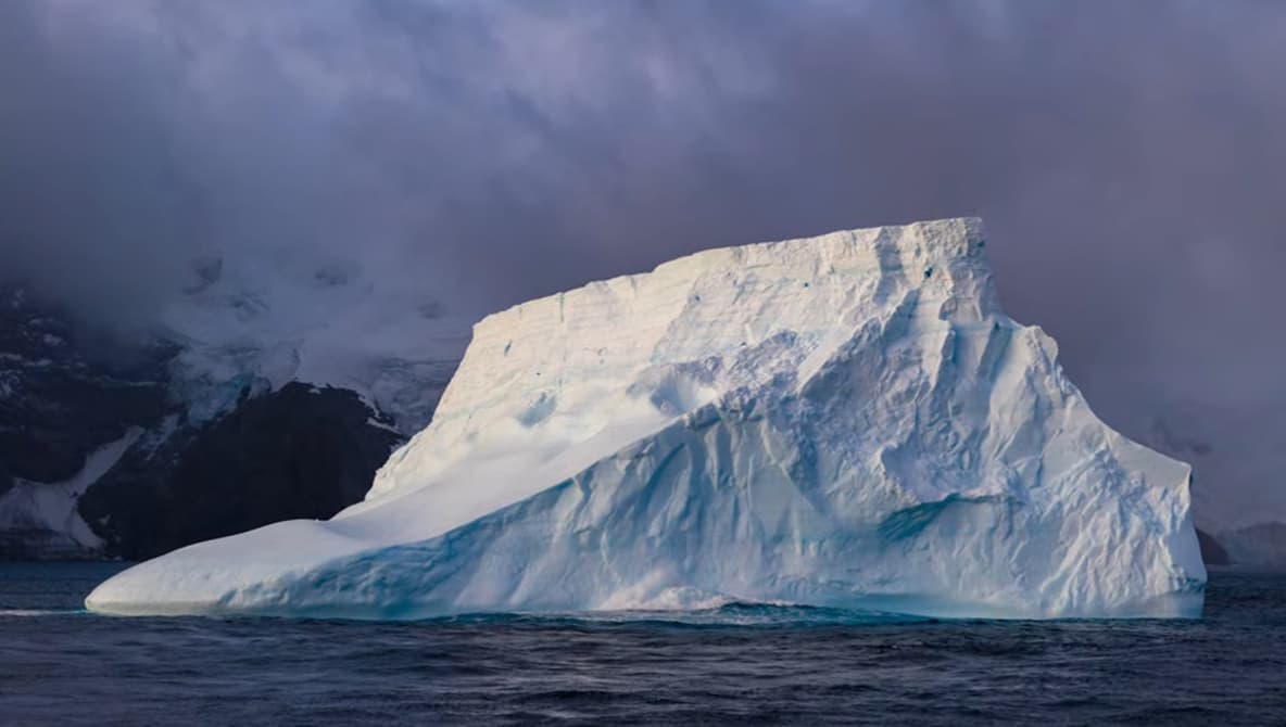 Penguins, Swells, and Icebergs: Inside a Wild Antarctic Voyage